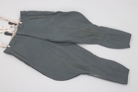 Heer Pionier officer's breeches