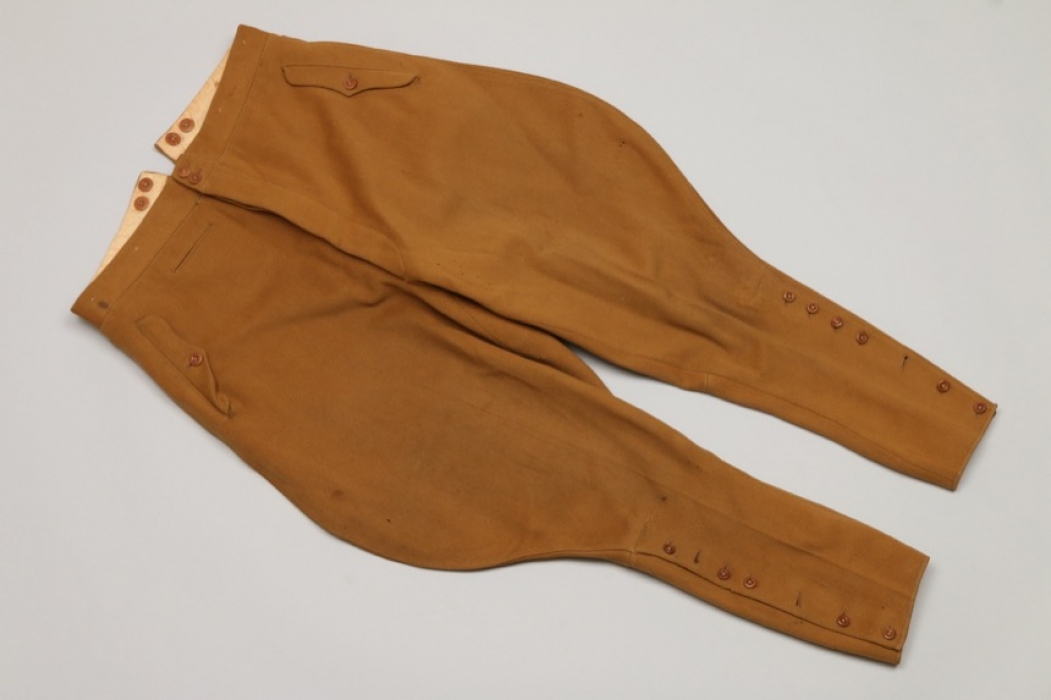 NSDAP political leader's breeches