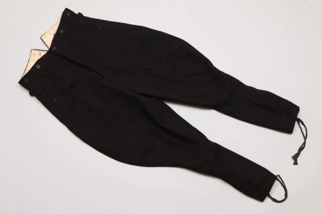 Allgemeine-SS breeches "VA 1938"