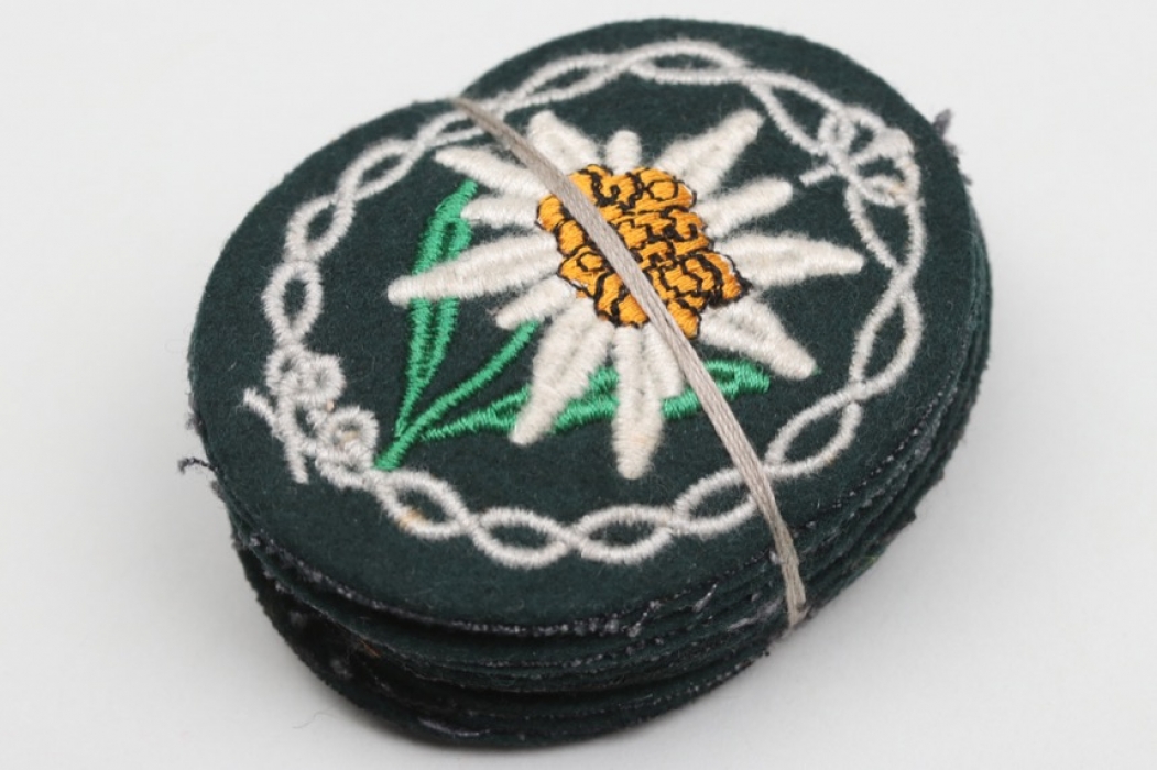 10 + Heer Gebirgsjäger Edelweiss sleeve badges