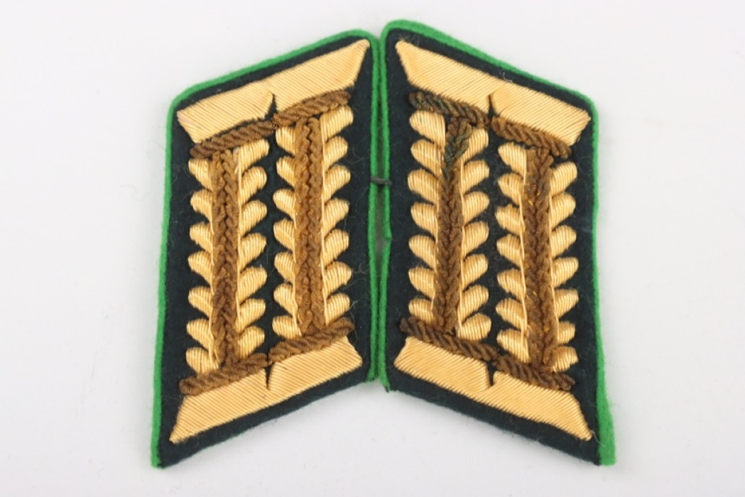 Heeresapotheker officer's collar tabs