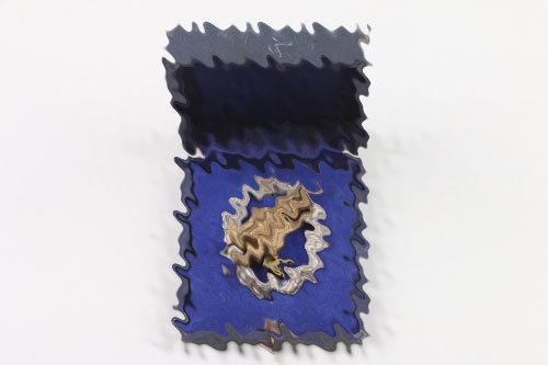 Paratrooper Badge (S&L) in case