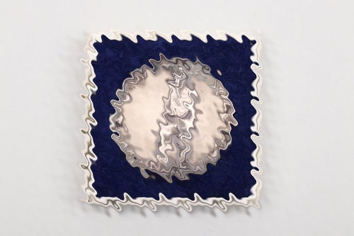 Cased "Volksabstimmung im Saargebiet" medal - silver