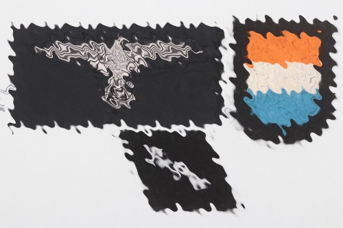 3 + Waffen-SS EM/NCO insignia