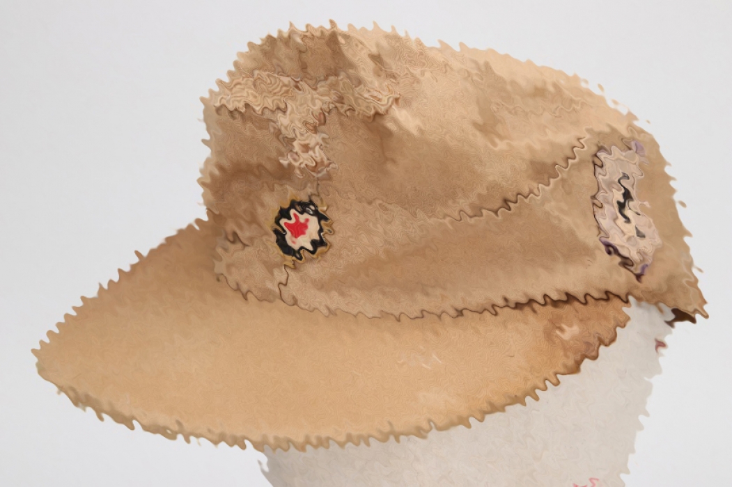 Luftwaffe tropical field cap with unit badge - unique