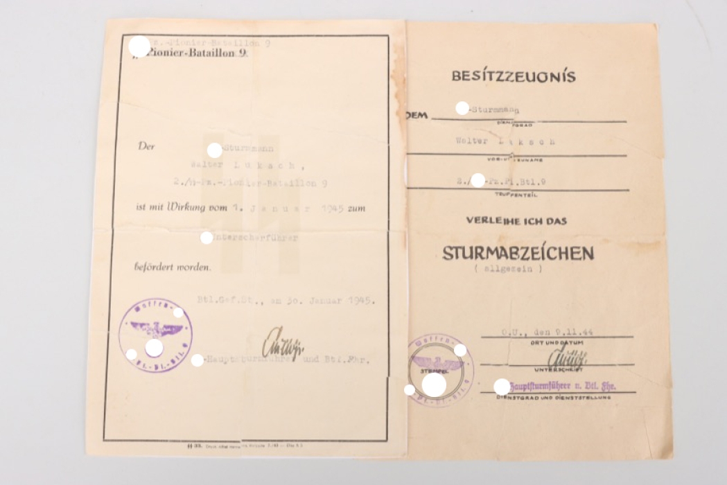 SS-Pz.Pi.Btl.9 document grouping